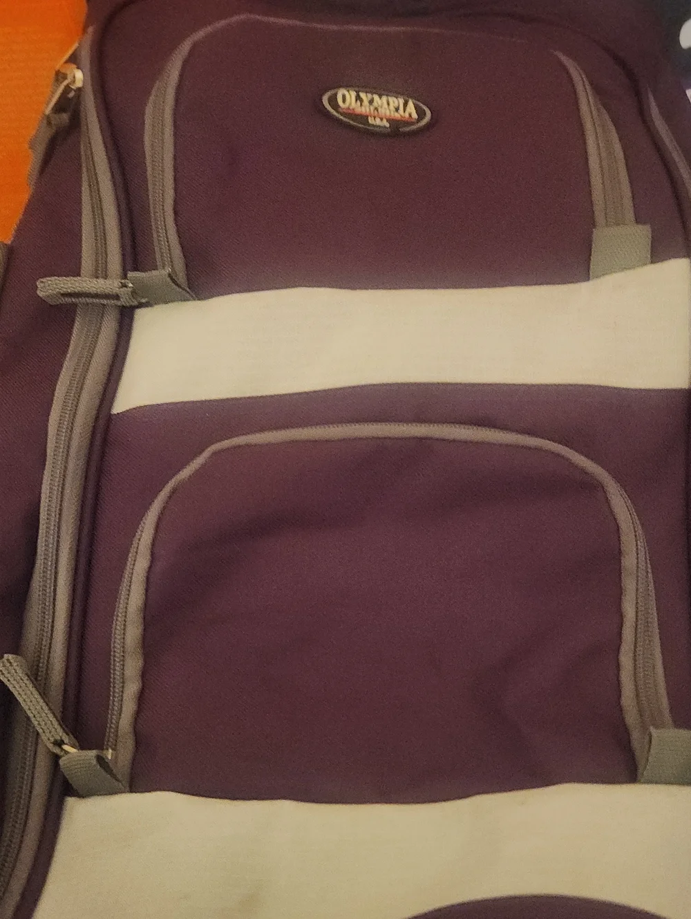 Men’s Purple and White Everyday Backpack